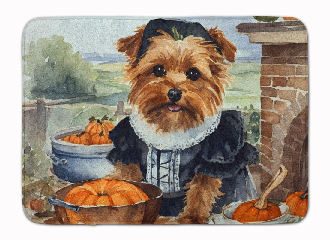 🐾 Everyday Joy: How a Personalized Pet Mat Can Brighten Your Home